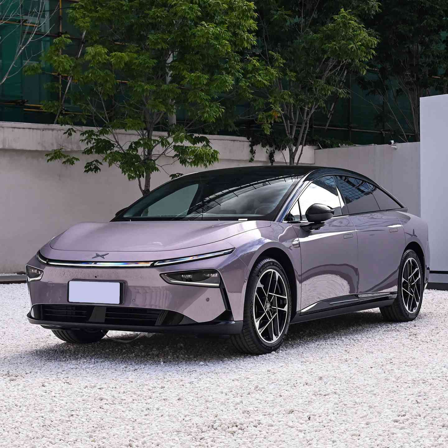 Xpeng P7 electric car supplier