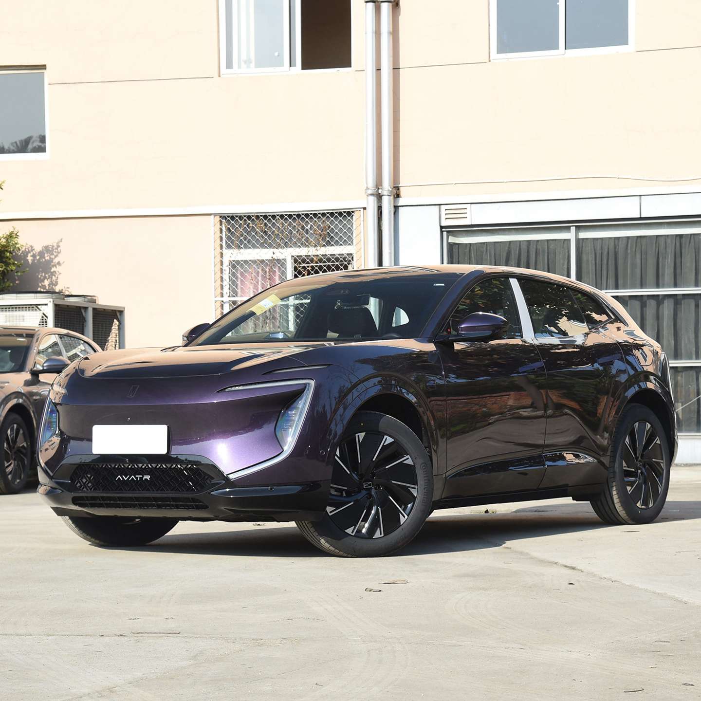REEV electric SUV China