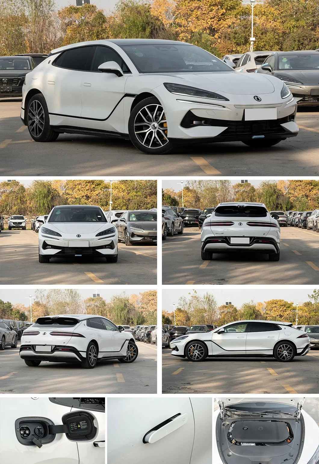 premium EV supplier China