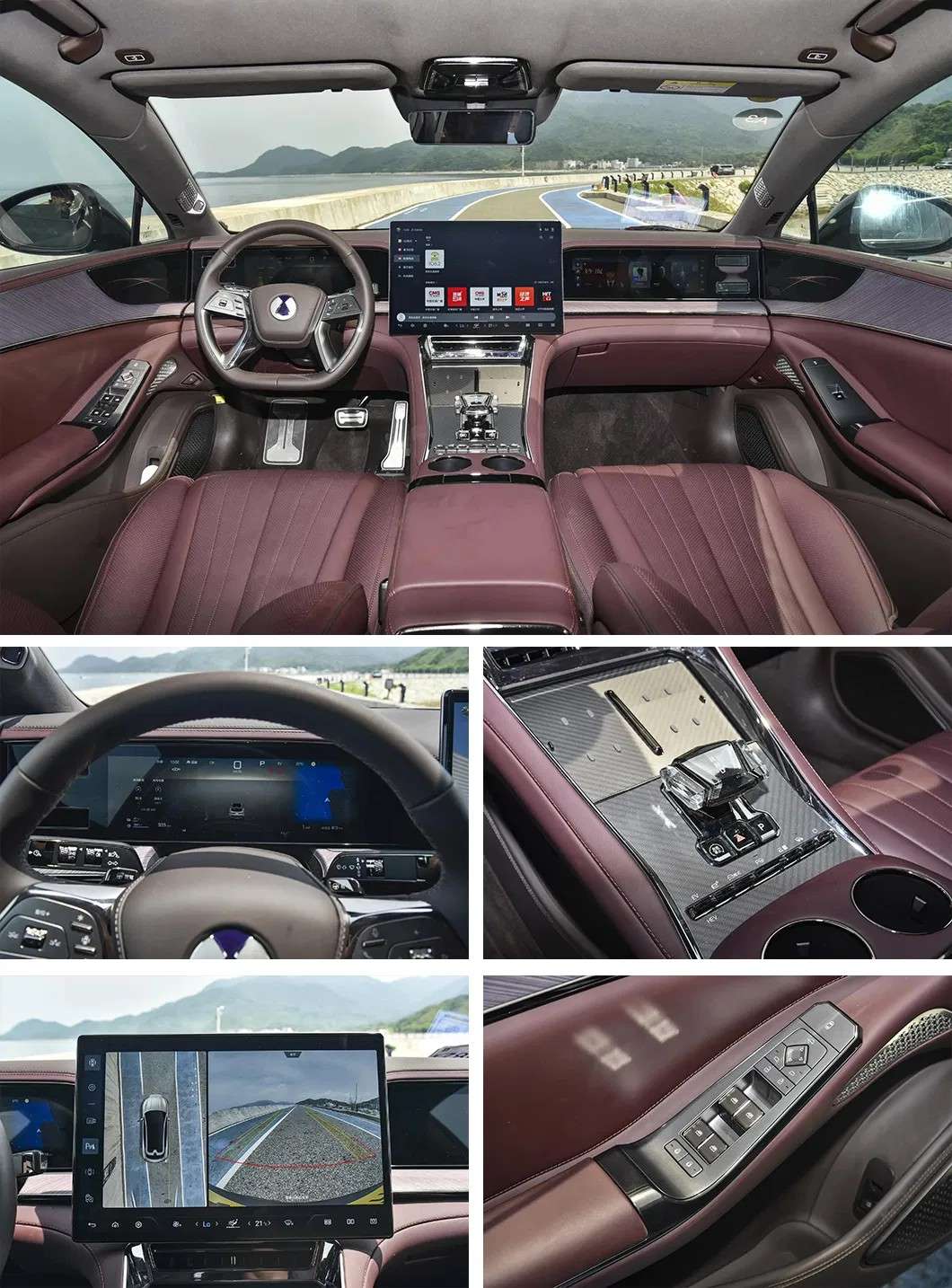 luxury EV wholesale dealer