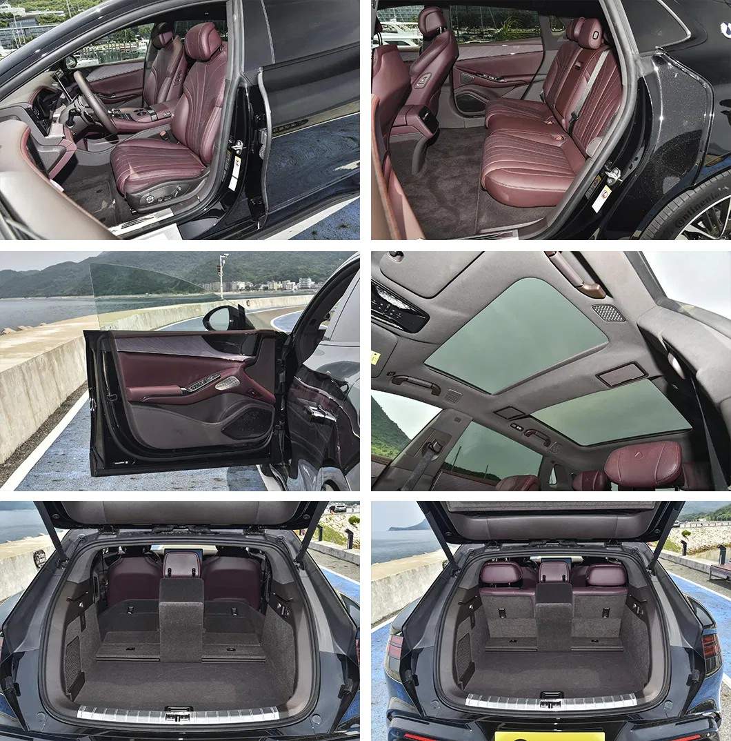 electric vehicle for export