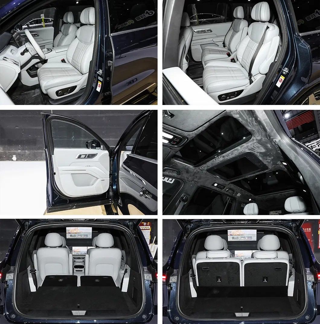 premium electric SUV wholesale