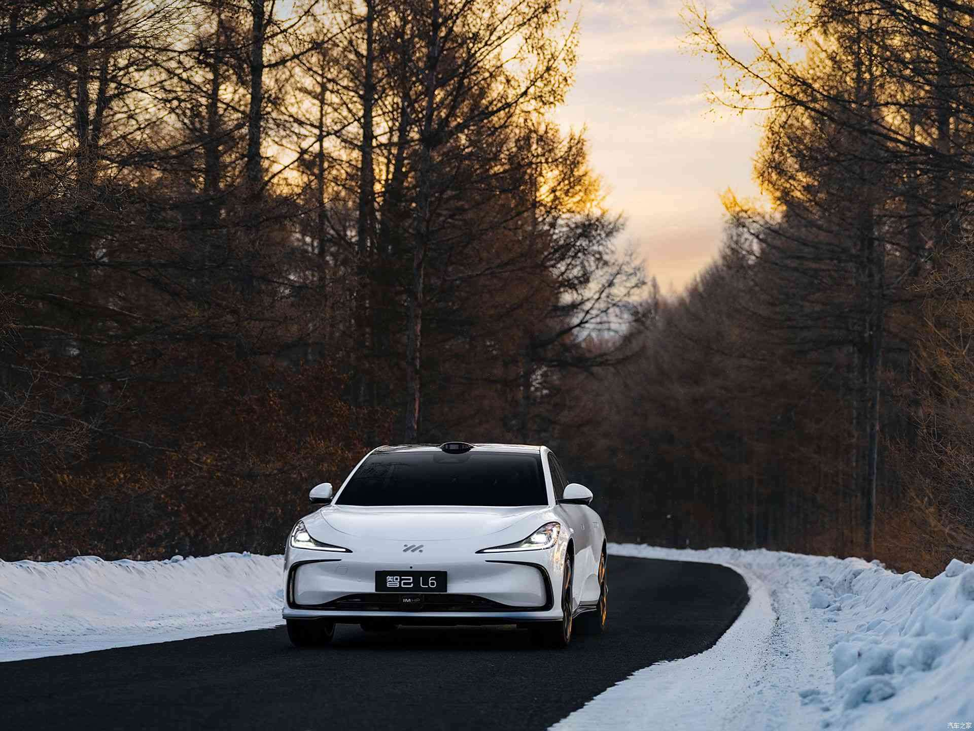 premium electric sedan wholesale