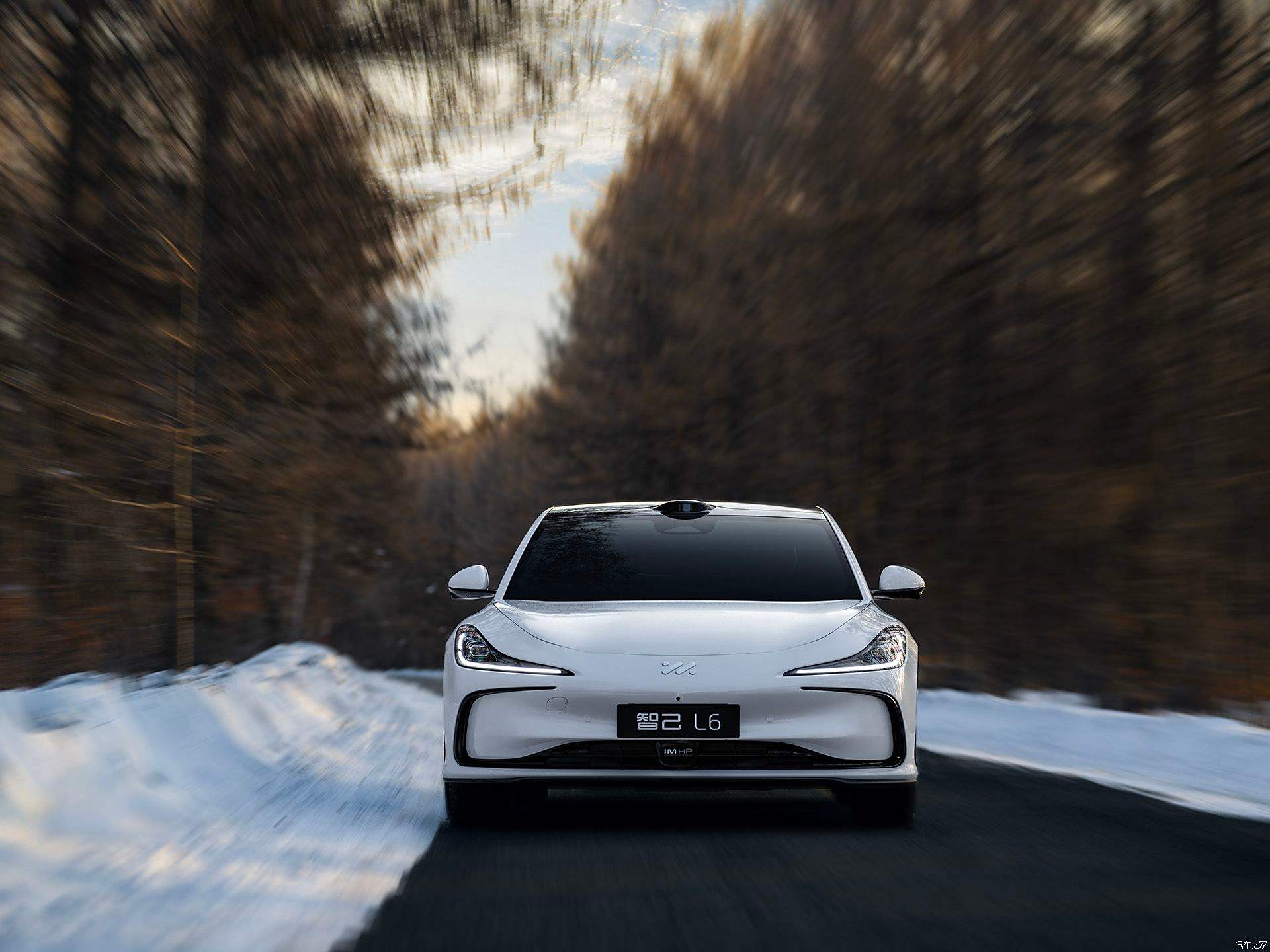 OEM electric vehicle customization